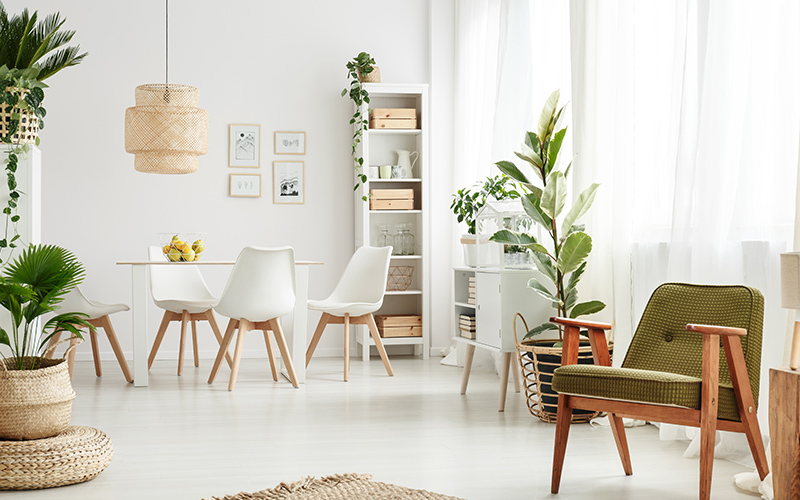 Scandinave Scandinave